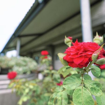 Taitung City-Cottage B&B Εξωτερικό φωτογραφία
