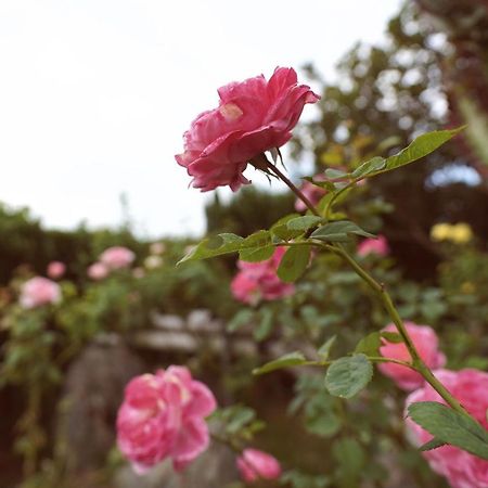 Taitung City-Cottage B&B Εξωτερικό φωτογραφία
