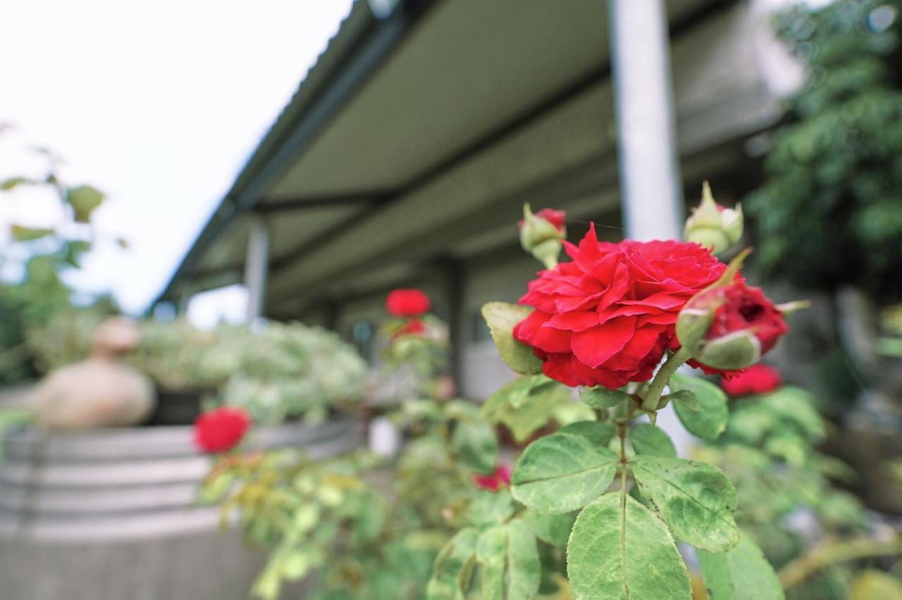 Taitung City-Cottage B&B Εξωτερικό φωτογραφία