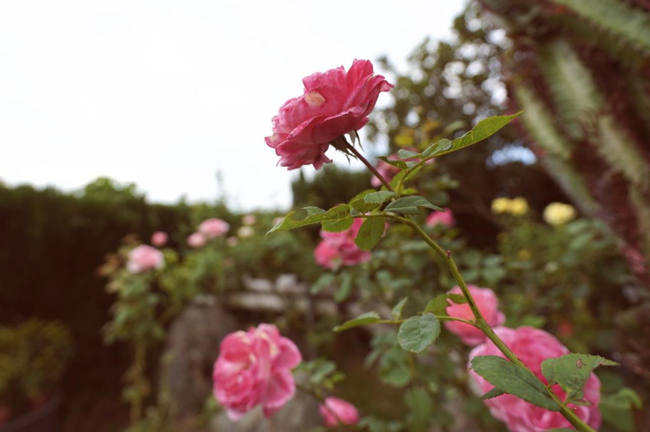 Taitung City-Cottage B&B Εξωτερικό φωτογραφία